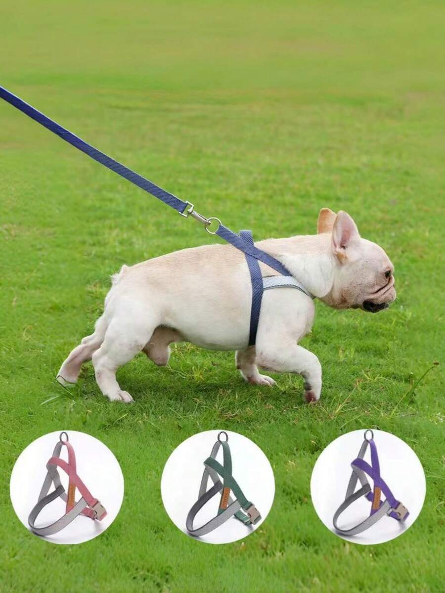 透氣寵物胸背帶及牽繩組合,適用中大型犬,法國鬥牛犬,黃金獵犬,適用春夏散步 - 彩色 - 查看 1