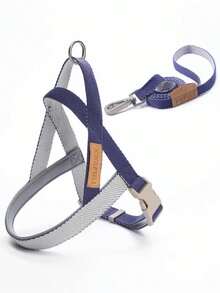 透氣寵物胸背帶及牽繩組合，適用中大型犬，法國鬥牛犬，黃金獵犬，適用春夏散步 - 彩色 - 查看 3