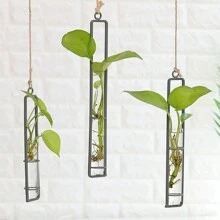 1 件悬挂式植物水培架（带瓶子）