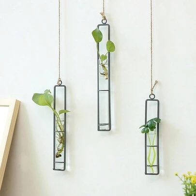 1 件悬挂式植物水培架（带瓶子）