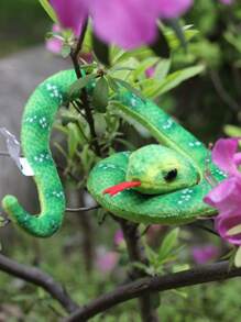 迷你可爱卡通毛绒蛇玩具，看起来像一条真正的蟒蛇，有蓝岛三尾蛇和猩红王蛇可供选择，材质可爱柔软，亲肤舒适，造型逼真，非常适合恶作剧或赠送给朋友和自己，家居装饰有趣的毛绒，迷你玩具，迷你玩具，动物尾巴，章鱼毛绒，傻