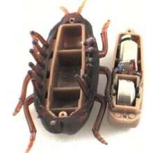 Small Pet Toys - 彩色 - 查看 3