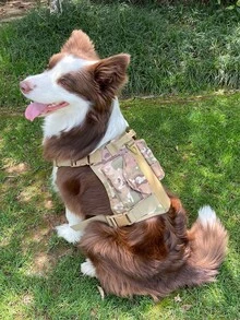 1pc Outdoor Tactical Dog Harness Leash And Collar Set, Camouflage Vest With Pocket For Medium And Large Tactical Dog - Army Green - View 8
