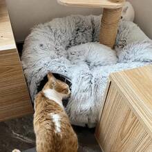 Plush Cat Bed With Tunnel For Indoor Cats, Multifunctional Cat Tunnel Bed With Peephole, Fluffy Donut Cat Bed With Tunnel  Suitable For Pet Size 0-15 Pounds - Multicolor - View 2
