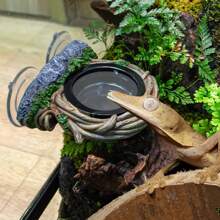 REPTI ZOO Crested Gecko Feeding Ledge, Reptile Water Food Dish For Bearded Dragon Lizard Snake Turtle, Vine Reptile Feeder Bowl Terrarium Tank Decor Accessories - Single Feeder - View 6