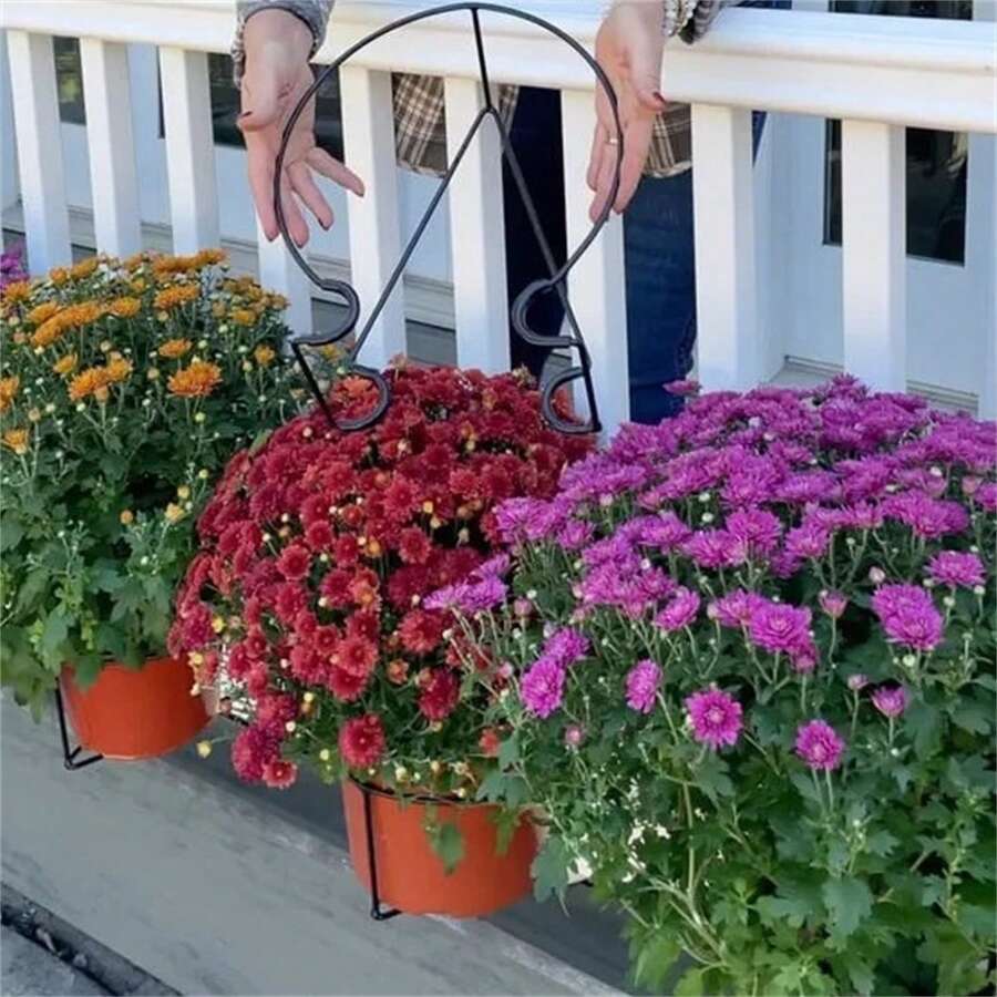 Plant Clips, Disappearing Pot Clips For Railings, Balconies, Stairs,Window Sills & Indoor Gardens - Black - View 1