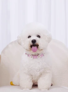 Leather Shining Rhinestone Cute Flower Tag Decoration Pet Dog Cat Collar