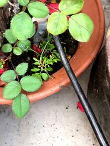 1 pezzo - Strumento di rimozione delle erbacce e delle radici da giardinaggio con lungo manico, estrattore manuale di alta qualità e pettine coltivatore da giardino, adatto per la potatura giornaliera, il giardinaggio, il frutteto, e la rimozione delle erbacce e il diserbo del suolo nei terreni agricoli - Argento - Visualizzare 2