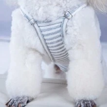 Couches pour animaux de compagnie réglables, pantalons physiologiques pour petits chiens anti-harcèlement, convenant aux Bull Terriers