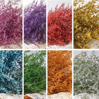 1 束天然干情人节草 - 插花艺术、DIY 工艺品、婚礼装饰、家居装饰、派对桌花瓶花园、办公室婚礼家居礼品、DIY 花环花卉、情人节、礼物