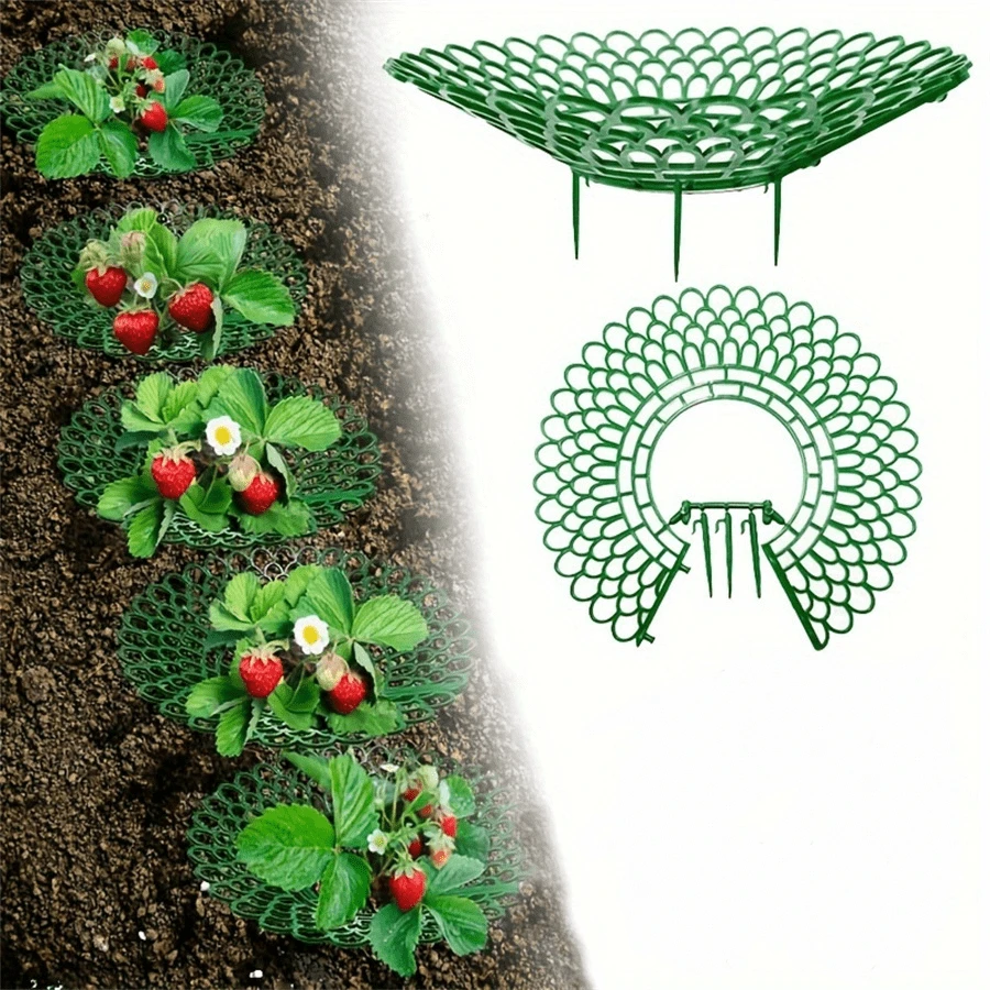 2packs/10Packs, Strawberry Plant Support Strawberry Growing Racks With 4 Sturdy Legs Strawberry Growing Frame Keep Berries Clean For Indoor Outdoor Garden Plants - Multicolor - View 1