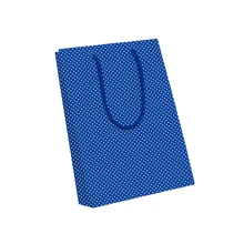 Sacola Coloria POÁ Alça de Cordão Pacote com 10 Unidades