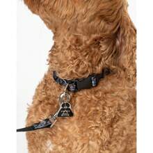 Star Wars Disney Dog Collar Set (Black) - Black - View 5