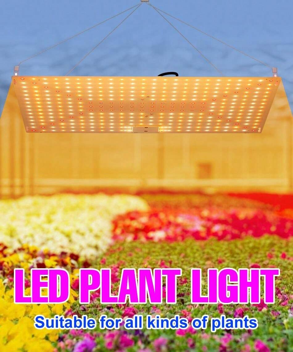 200W LED Plant Grow Light Full Spectrum AC100-277V กล่องการเจริญเติบโต ...