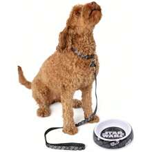 Star Wars Disney Dog Collar Set (Black) - Black - View 6