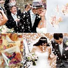 1 Máy Tính Pháo Hoa Cưới, Pháo Cầm Tay Confetti, Súng Bắn Pháo Hoa Nhỏ, Đồ Dùng Lễ Kỷ Niệm - Nhiều màu - Xem 3