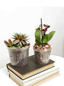 1pc Orchid Pot, Plastic Translucent Flower Pot With Drainage Holes And Tray, Breathable Slotted Plastic Planter For Indoor And Outdoor Orchids - Transparent - View 3
