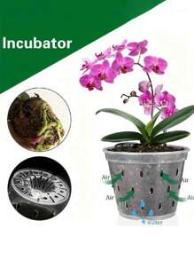 1pc Orchid Pot, Plastic Translucent Flower Pot With Drainage Holes And Tray, Breathable Slotted Plastic Planter For Indoor And Outdoor Orchids - Transparent - View 1