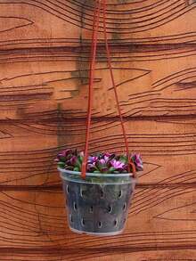 1pc Orchid Pot, Plastic Translucent Flower Pot With Drainage Holes And Tray, Breathable Slotted Plastic Planter For Indoor And Outdoor Orchids - Transparent - View 5