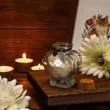 Pet Hair Memorial Bottle, Pet Fur Keepsake, Pet Hair Memento, Pet Memorial Urn Box For Ashes