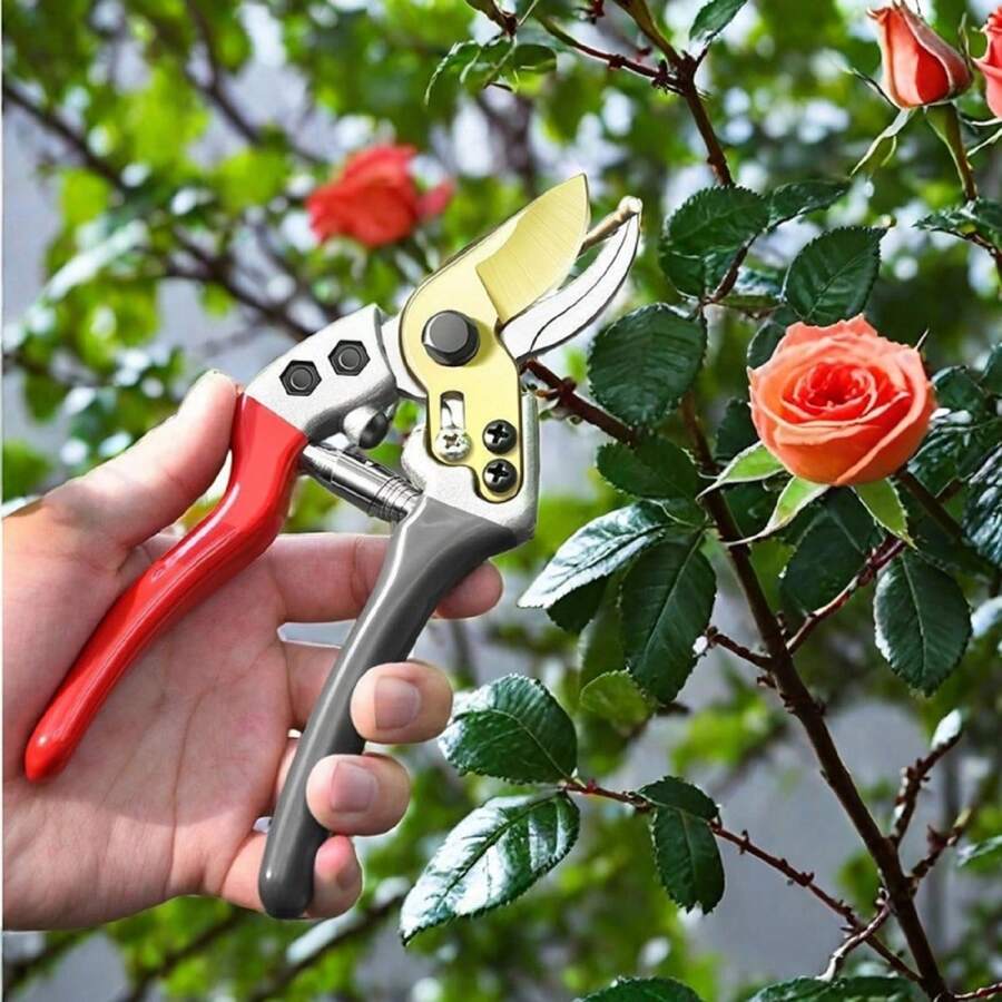 Dụng cụ cắt tỉa làm vườn chuyên nghiệp - Kéo làm vườn cầm tay sắc bén, Máy cắt tỉa làm vườn, Cắt tỉa hoa và cây, Kéo làm vườn, Dụng cụ làm vườn - Dụng cụ cắt tỉa tiện dụng - Đỏ - Xem 1