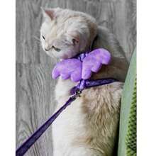 1pc Angel Wings Decor Cat Harness With Leash Set, Cat Rope, I-Shaped Anti Release Cat Harness, Cat Traction Rope, Cat Walking Rope - Purple - View 5
