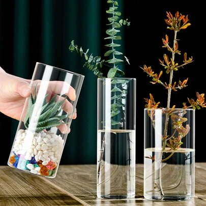 1入組透明水培玻璃花瓶，極簡風格花器，適用於婚禮客廳裝飾苔蘚生態瓶