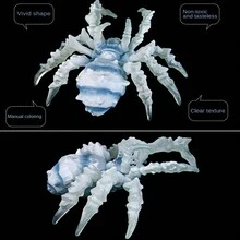 逼真昆蟲、蜘蛛動物模型，白色冰蜘蛛室內裝飾昆蟲裝飾品，媽媽送孩子的收藏禮物，冰雪蜘蛛塑膠3D雕塑玩具陪伴孩子成長 - 白色 - 查看 5