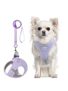 1 件华夫格纹理 3 色可调节柔软透气反光牵引带，适用于猫和狗，适合日常散步 - 淡紫色 - 查看 1