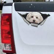 Pegatina de coche Maltese linda de mascota de perro, decoración de coche Torn Metal Decal Reflective Sticker impermeable estilo de coche