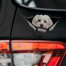 Pegatina de coche Maltese linda de mascota de perro, decoración de coche Torn Metal Decal Reflective Sticker impermeable estilo de coche