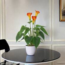 PVC人造蓮花盆栽與塑料花盆，極簡美麗的設計，包含3朵花和18片葉子的組合，還附有美濃陶花盆 - 紅色&黃色 - 查看 9