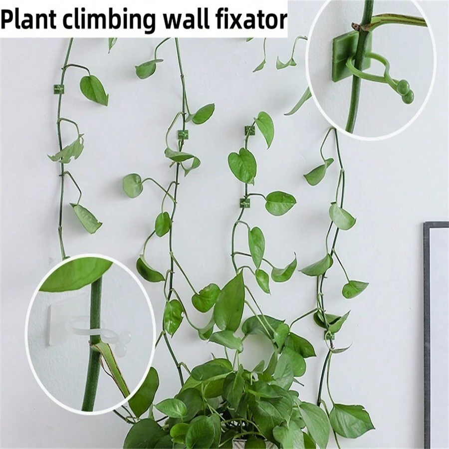 10入組植物攀爬牆壁自粘固定扣掛勾，紮緊固定藤蔓扣掛勾，花園植物攀爬藤蔓夾，植物束緊帶，植物支撐夾，藤蔓夾，生長指引 - 綠色 - 查看 1