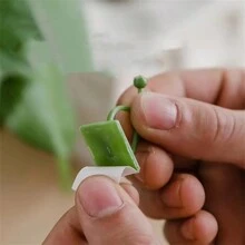 10入組植物攀爬牆壁自粘固定扣掛勾，紮緊固定藤蔓扣掛勾，花園植物攀爬藤蔓夾，植物束緊帶，植物支撐夾，藤蔓夾，生長指引 - 綠色 - 查看 3