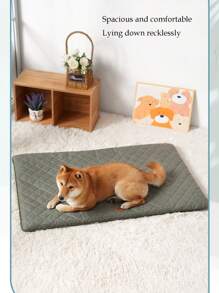 防潮高架狗/猫床 | 可拆卸可洗宠物垫 | 四季透气窝垫 | 舒适睡垫 | L XL XXL