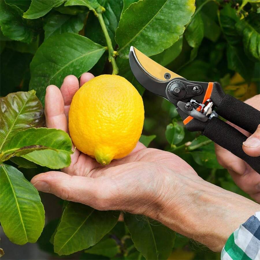8.5 Inch Professional Garden Pruners Handheld Sharp Garden Scissors