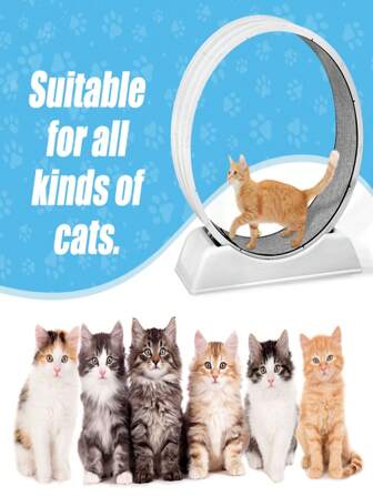 1 pieza Rueda de ejercicio ensamblada para amantes de los gatos y madres de gatos, Rueda de fitness silenciosa para correr para amantes de los gatos y madres de gatos, Molino para correr de plástico para amantes de los gatos y madres de gatos