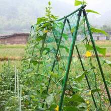 27-Strand Thickened Garden Plant Trellis Net, Gourd Fruit Vine Climbing Net, Plant Support Rope - A - View 3