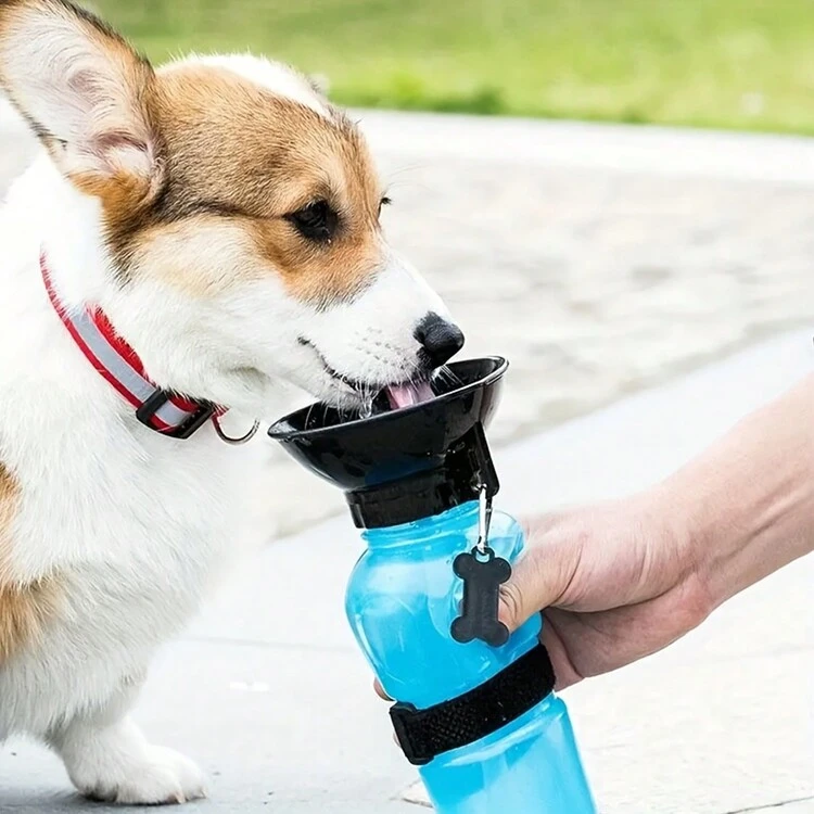 1 pieza Botella de agua para mascotas con diseño a prueba de fugas para gatos y perros, conveniente para llevar, ideal para viajar y caminar, fácil de rellenar mientras se está al aire libre - Multicolor - Añade 6