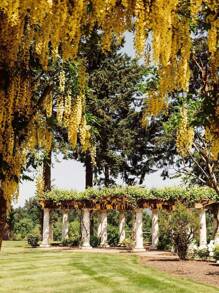 1套6.9英尺黃色人造紫藤蔓，配有塑料葉片，適用於室內外婚禮活動或派對節慶時的家居裝飾 - 黃色 - 查看 5