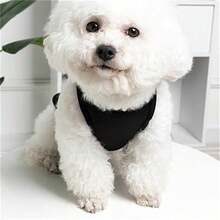 1件小狗貓抱抱熊印花寵物背心，獵犬，巴哥犬，沙皮犬，法鬥，比熊犬，兩腿衣服