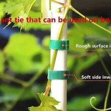 Small Garden Hook-And-Loop, Plant Hook-And-Loop Tape Binding Plant Fixed Tree Branch Tape, Tree Branch Tie Belt, Garden Flower Plants Supplies, Garden Balcony Gardening Beauty Planting Supplies, Planters & Container Accessories - Green - View 5