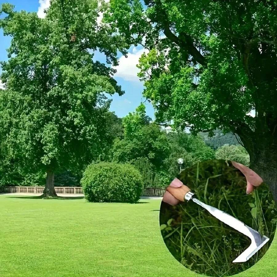 Lama Di Piallatura In Acciaio Brixo Da 50 Mm | Leroy Merlin