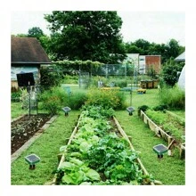 4x Solar Mole Repeller Vole Repeller Mole Trap Mouse Repellent Without Chemicals Waterproof And UV-Resistant 26 X 6 Cm (H X D) Prevent Moles, Mice, Rodents, Field Mice And Shrews - Black - View 6