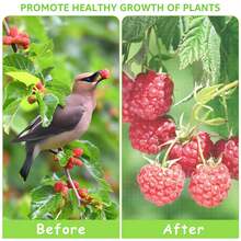 6 Packs 2 Size Insect Bird Barrier Netting Mesh With Drawstring- Garden Bug Netting Plant Cover- Fruit Tree Net For Protect Plant Fruits Citrus Flower From Insect Bird Eating - White - View 4