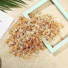 50 piezas Artesanía de playa con estrellas de mar y conchas pequeñas naturales (de 0.5 pulgadas a 1.2 pulgadas) para decoración de acuarios y paisajismo de peceras - Multicolor - Ver 3