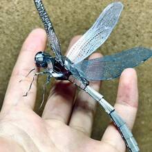1pc Stainless Steel 3D DIY Puzzle Model Of Dragonfly & Praying Mantis, Metal Puzzle For Car Interior, Desk Decoration,3d Puzzle,Puzzle,Metal Puzzle,3d Puzzle,Puzzle,Metal Puzzle