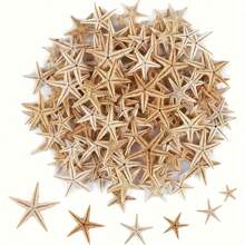 50 piezas Artesanía de playa con estrellas de mar y conchas pequeñas naturales (de 0.5 pulgadas a 1.2 pulgadas) para decoración de acuarios y paisajismo de peceras - Multicolor - Ver 1