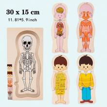 Montessori Educational Toys For Early Learning, Children's Multilayer Wooden Puzzle For Body Awareness And Scientific Knowledge Of The Human Body Organs, Kindergarten Learning And Brain-Teasing Toy For Boys And Girls