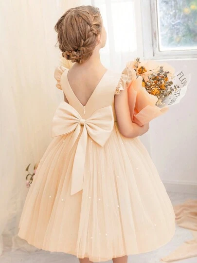 年轻女孩盖袖薄纱公主裙，适合女孩派对礼服、生日派对、礼物、角色扮演、化妆舞会、派对、休闲日常穿着、乐器表演服装